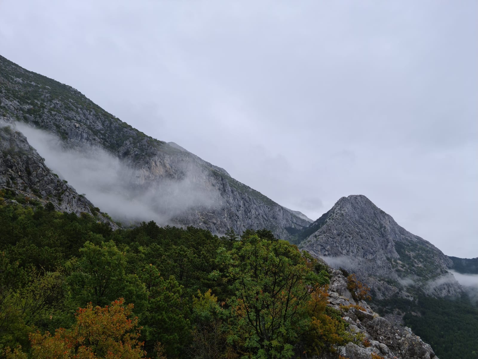 You are currently viewing PLANINA!