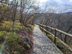 Read more about the article MOŽDA JE SAMO SIJEČANJ!